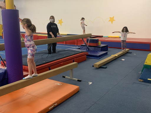 Flippers Gym Program - Visual