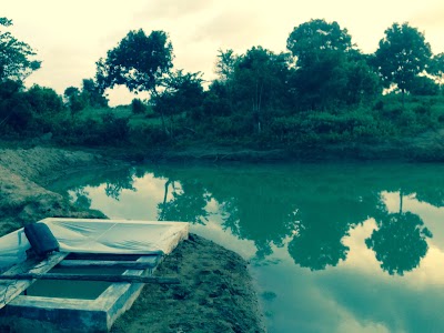 Photos of Rasa Farm Village
