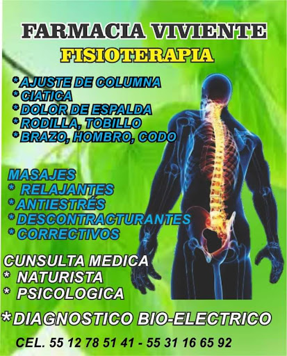 Fisioterapia - Quiropraxia - Thumbnail