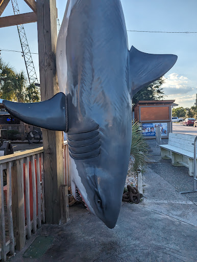 Hammerhead Fred's - Visual
