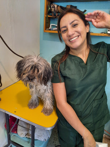 Clinicat & Dog