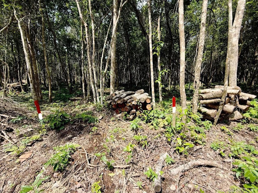 Riviera Broker Playa del Carmen