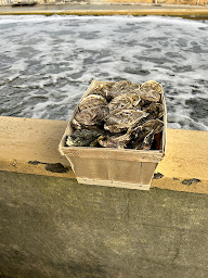 Photo n°22 de Les Petites Folies à Gujan-Mestras (Restaurant de fruits de mer)