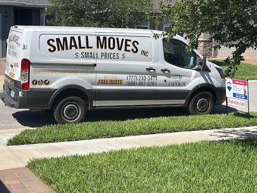Small Moves Inc - Visual