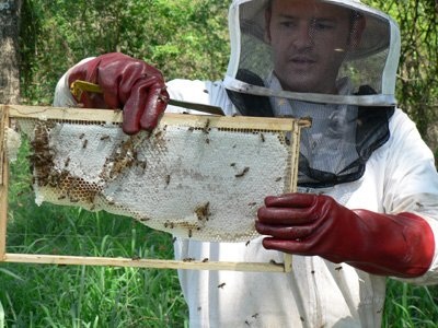 Photos of Bee Ware | Beekeeping supplies