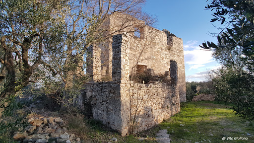 Torre Spoto - Visual