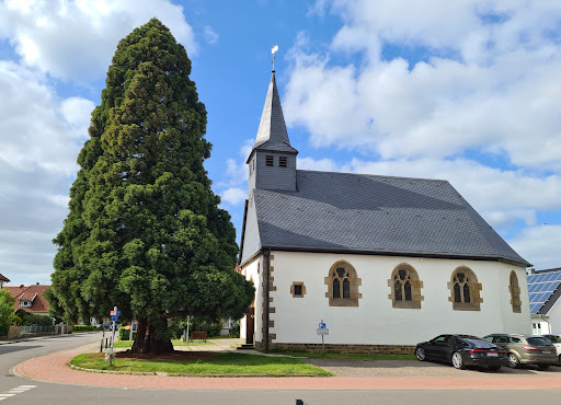 Evangelisch-lutherische Bonnus-Kirchengemeinde - Thumbnail