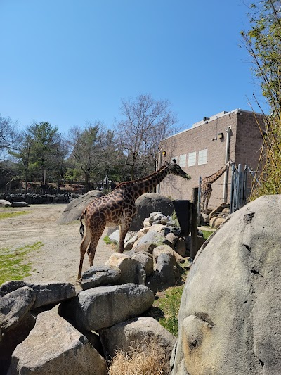 Textron Elephant & Giraffe Pavilion