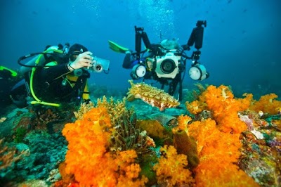 Photos of Living Colours Diving Resort