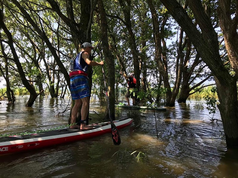 水上さんぽ滋賀
