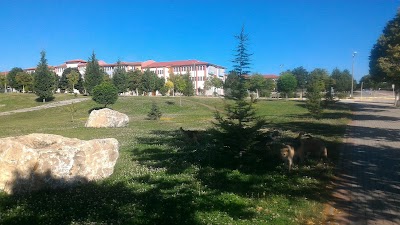 Kütahya Dumlupınar Üniversitesi İİBF (İşletme)