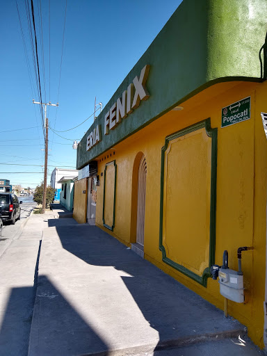 Librería Fenix - Visual