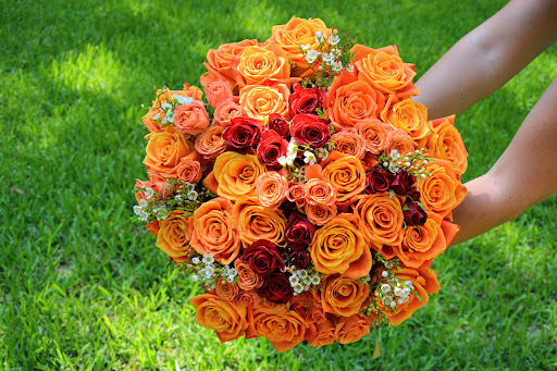 Jane's Fruits and Flowers - Thumbnail