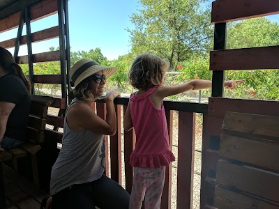 Thunder Bird Express Safari Station