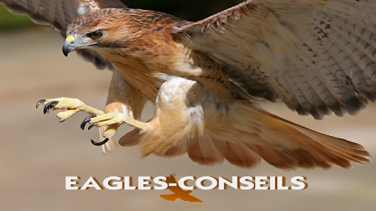 EAGLES-CONSEILS - Vouvray