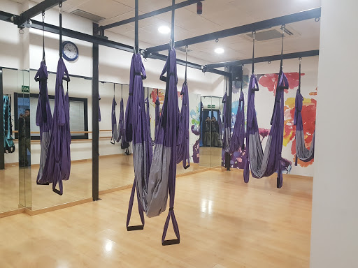 DV23gym - Visual
