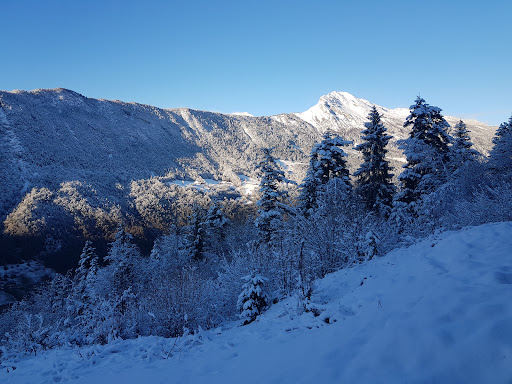 Le Roi du Mont - Thumbnail