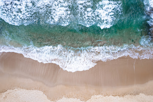 Blue Zone Experience