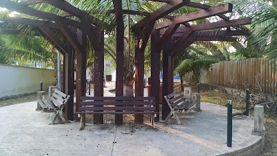 university