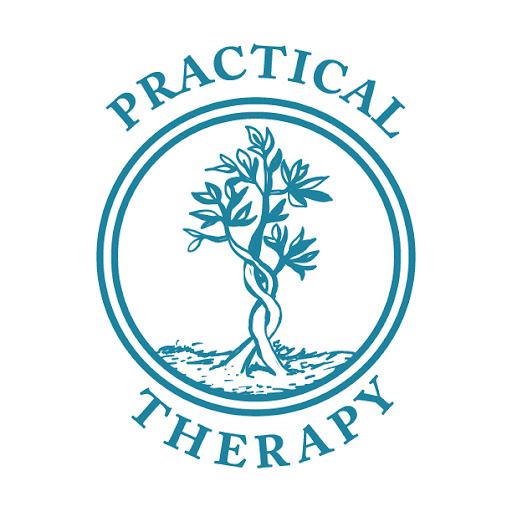 Practical Therapy LLC - Visual