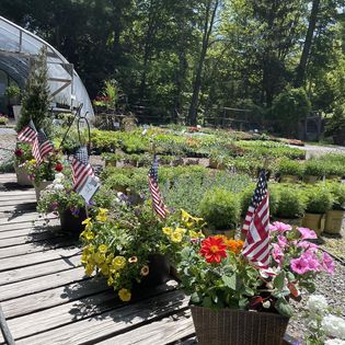 Stonewall Garden Center - Thumbnail