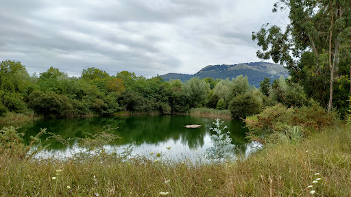 Pozón de la Yesera (Anillo Verde de la Bahía de Santander)