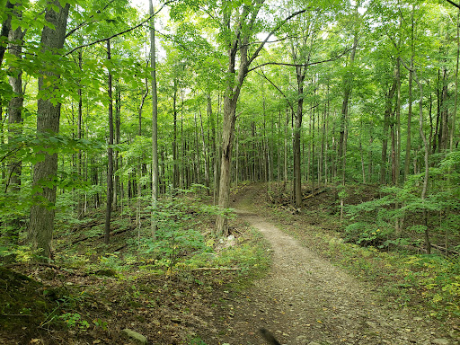 Dryden Tract