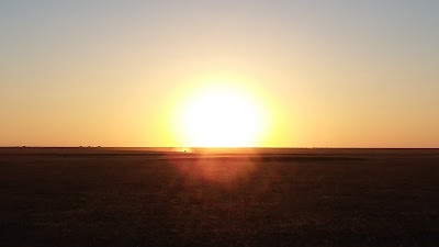 Photos of Audi Camp - Maun