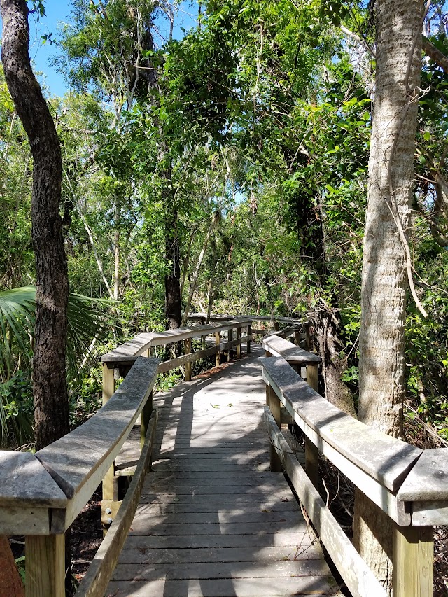 Mahogany Hammock Trail