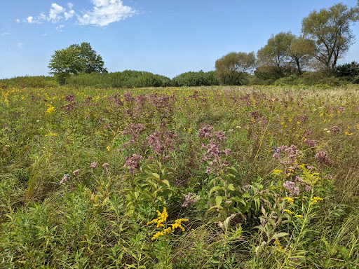 Rowley Fen - Visual