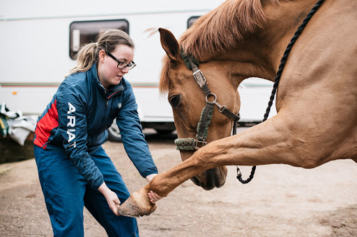 O.H. Equine Therapy - Thumbnail