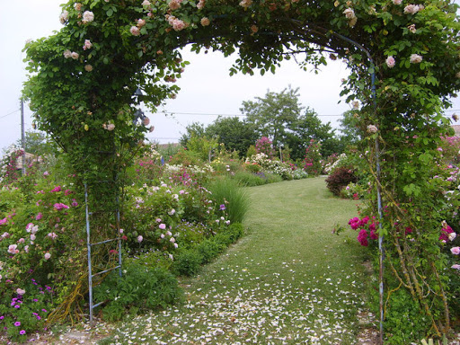 Mireille en Lot-et-Garonne Garden - Thumbnail