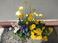 ハートライン コンディショニング