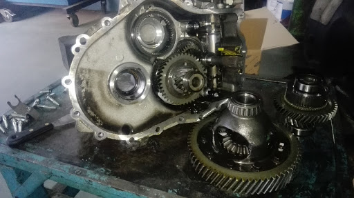BORALAUTO - Visual