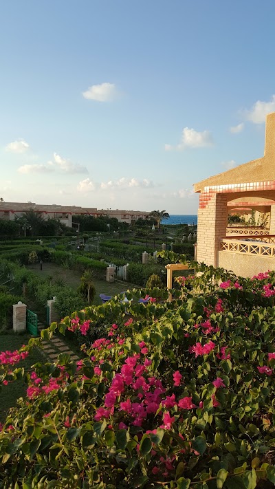 Photos of Petro Beach Village