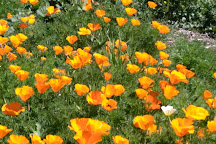 Heritage Rose Garden, San Jose, United States