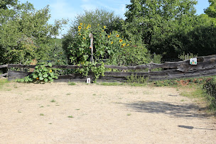 Photo n°7 de Espace d'équithérapie et d'équicoaching à Saint-Aubin-de-Nabirat (Coach de vie)