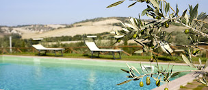 Photo n°5 de Demeures Provençales à Lagnes (Agence immobilière)