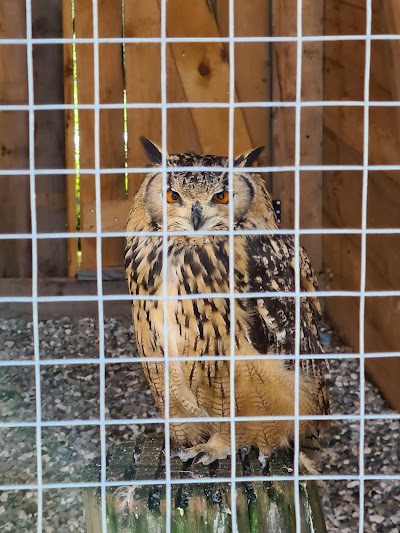 Owl Park San Vigilio