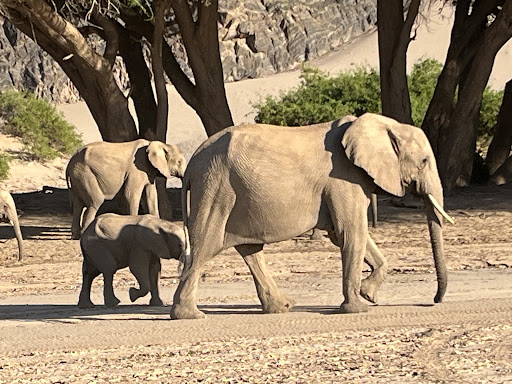Échappée Namibienne Gallery - France