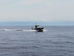 Photo n°12 de Baltxan à Saint-Jean-de-Luz (Agence d'excursions en bateau)