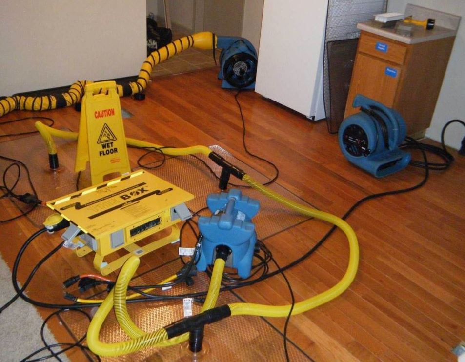 Upkeep Water Damage Restoration photo
