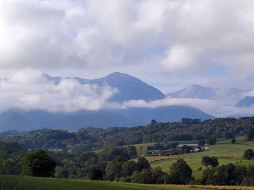Photo de EHPAD de Bétharram - Association St Joseph à Montaut (64800)