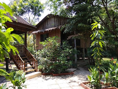 Photos of Palm Village Resort & Spa