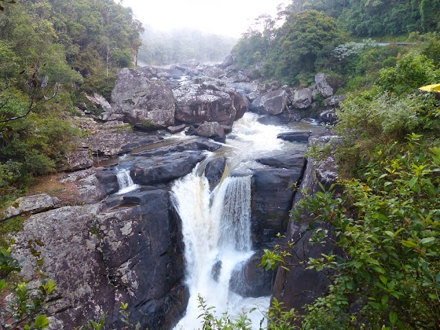 Parc national de Ranomafana