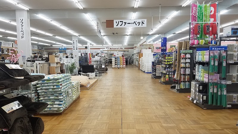 50 コメリ 河渡 店 オリーブ 剪定