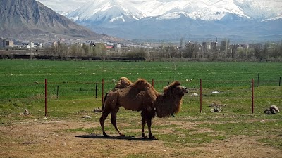 Photos of موزه عشایر