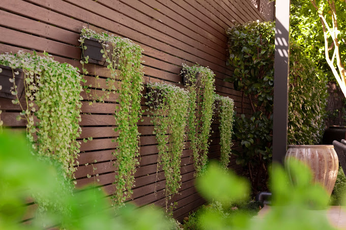 Bringing Wildlife into Your Sydney Garden