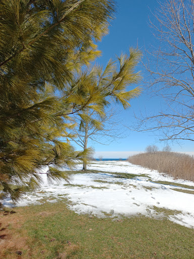 Pickering Beach - Visual