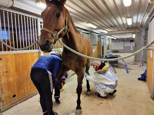 Örebrotravet